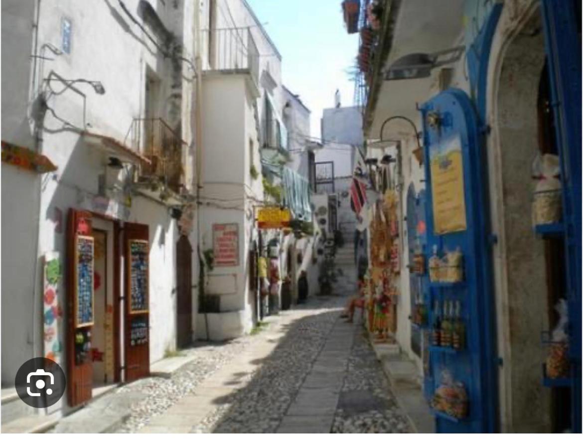 B&B Tra Le Vie Del Borgo Vieste Bagian luar foto